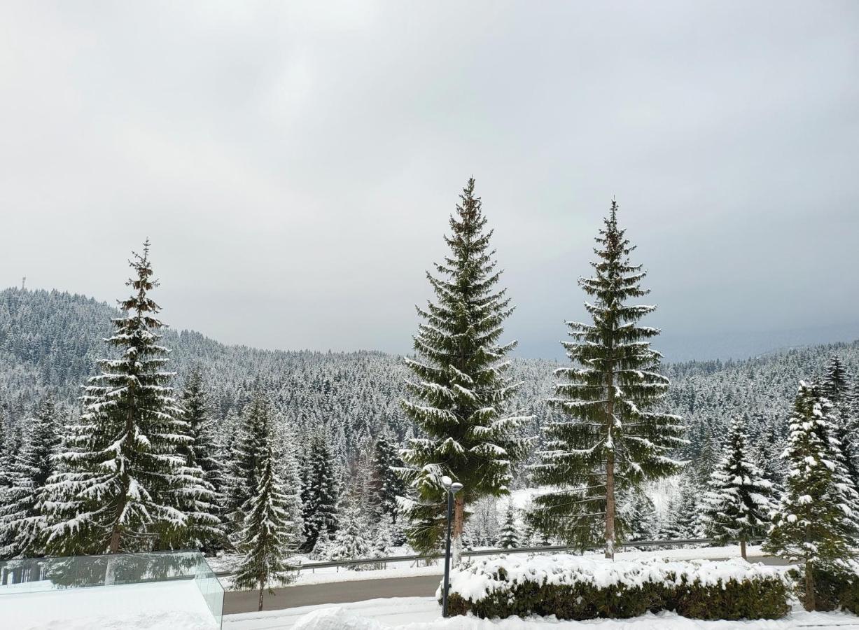 Hotel Forest Pale Kültér fotó